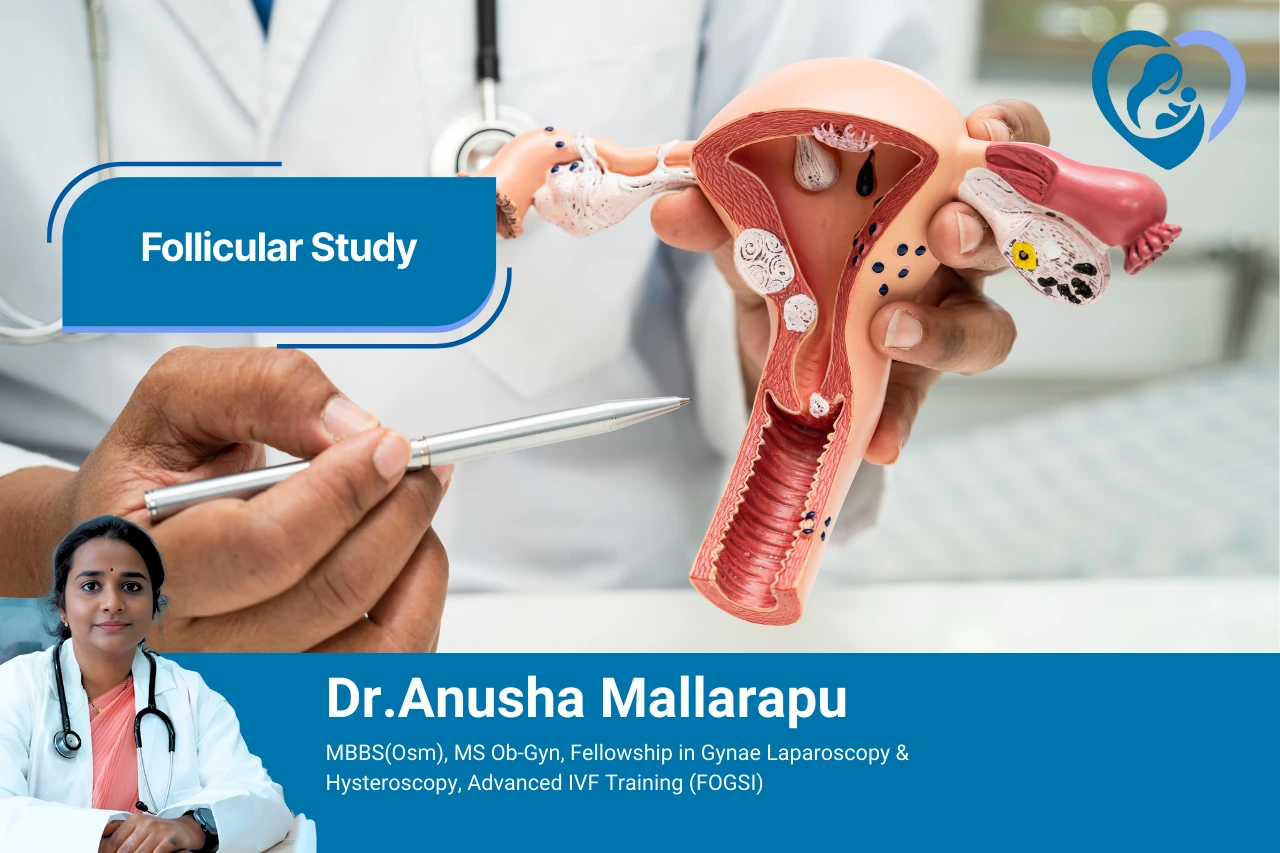 Follicular Study in puppalguda